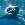 Shark42